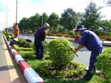 Dịch vụ chăm sóc cây xanh - Công Ty TNHH Dịch Vụ Thành Công SG